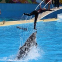 Marineland - Dauphins - 032